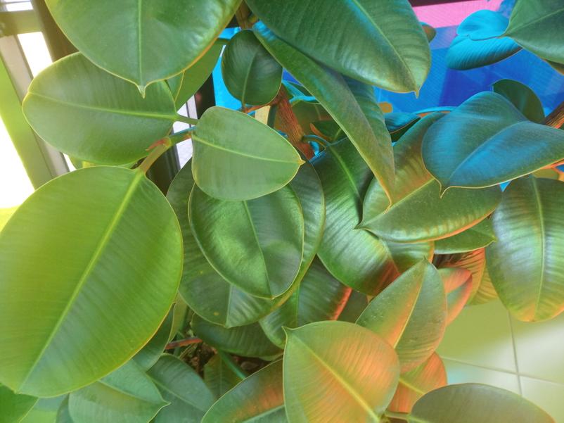 4b09e7e041e59e7220efda08d269d82eaa8fe15e