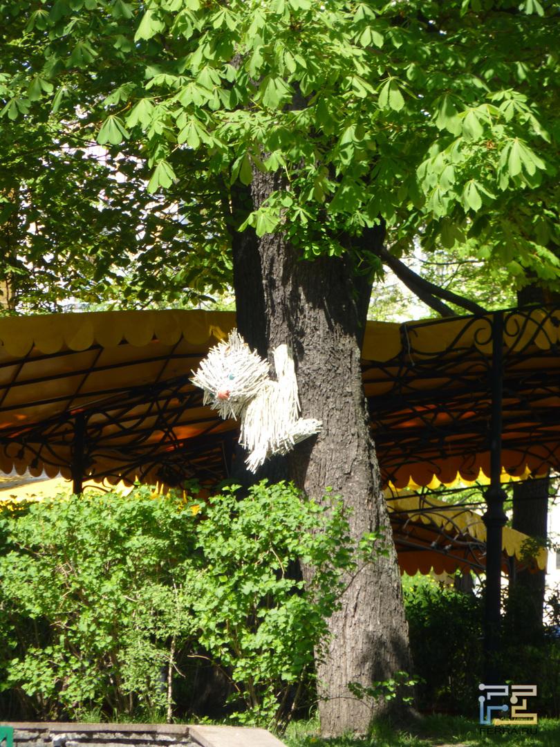 ЭФР 250 мм, f/5,9, 1/125 c, ISO 100