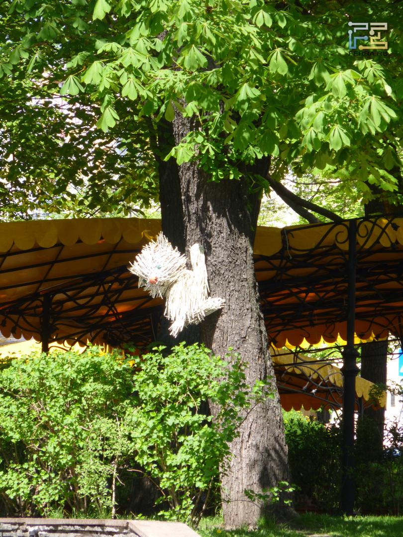 ЭФР 250 мм, f/5,9, 1/80 c, ISO 100