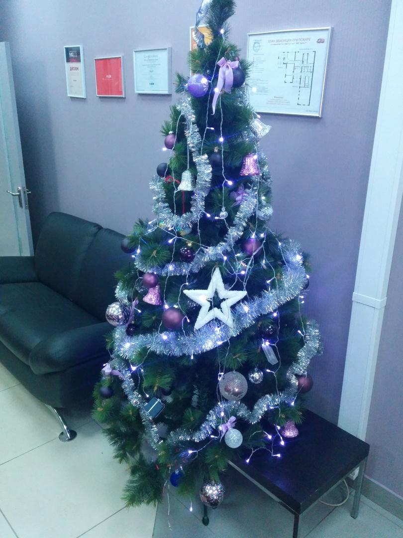 Пример фотографии, снятой камерой смартфона Google Nexus 5