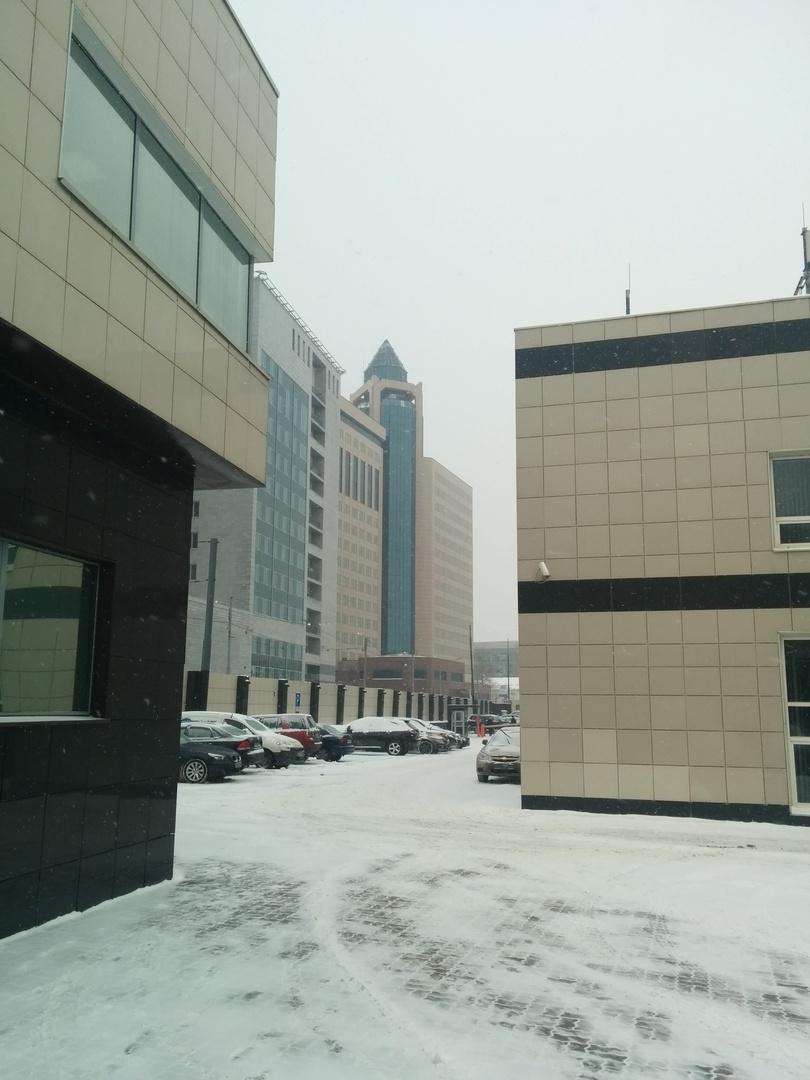 Пример фотографии, снятой камерой смартфона Google Nexus 5