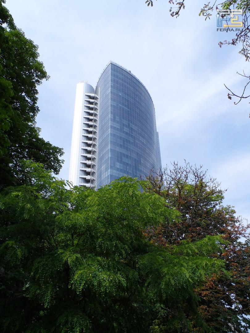 Samsung WB150F, ЭФР 32 мм, f/4,8, 1/500 c, ISO 100