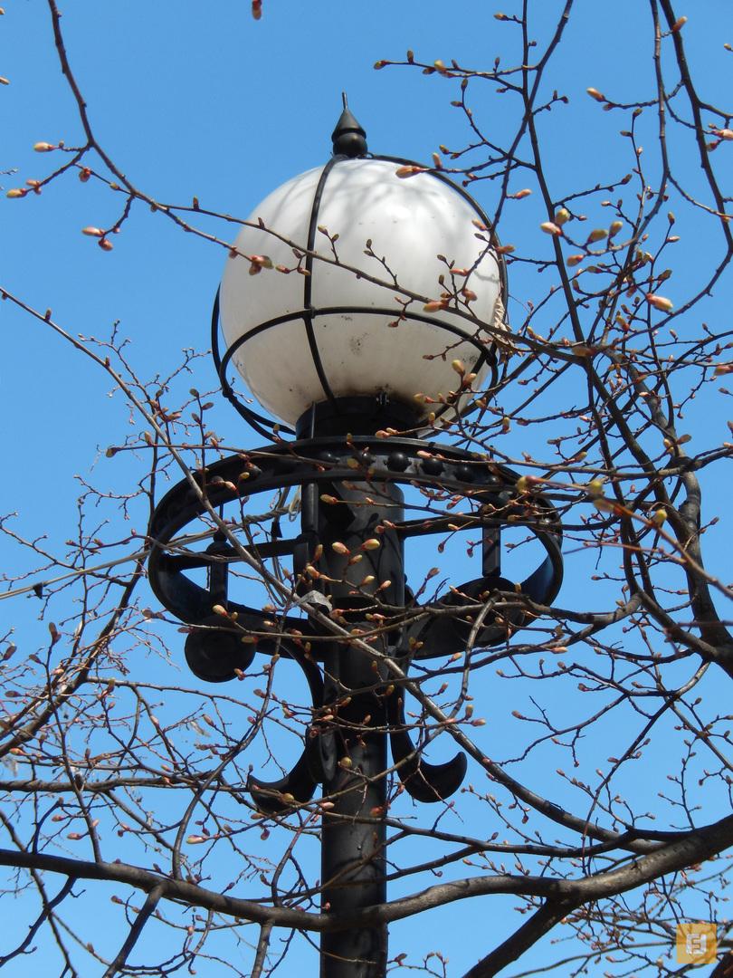 Nikon Coolpix S9400, ЭФР 117 мм, f/5,5, 1/640 c, ISO 200