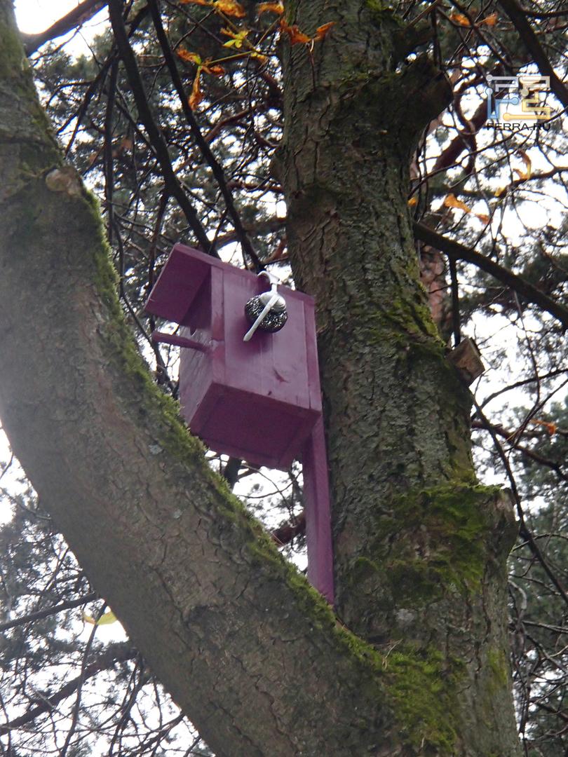 Olympus TG-810 iHS, ISO 500, ЭФР 96 mm, 1/60 c, f/4.8