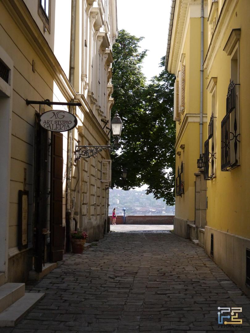 Lumix G5 + Lumix G 14-42/3.5-5.6 @ ISO 1600, 34 мм, f/7.1, 1/1600 c