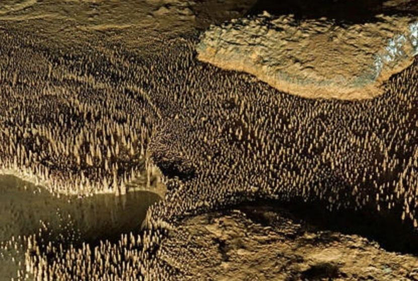 Учёные всё ещё не могут разгадать тайну природного явления «Сто тысяч солдат»