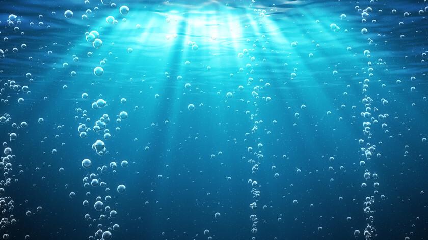 8b793f55e8dba1c13beaa98afab9e1fca4cf5cf0