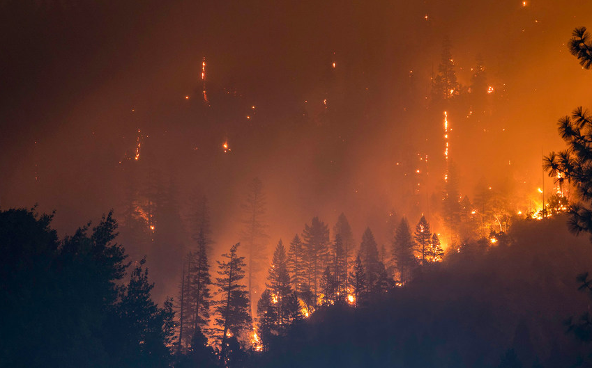 8eb2d36d4321421f038cbc63e89979f03d12cf65