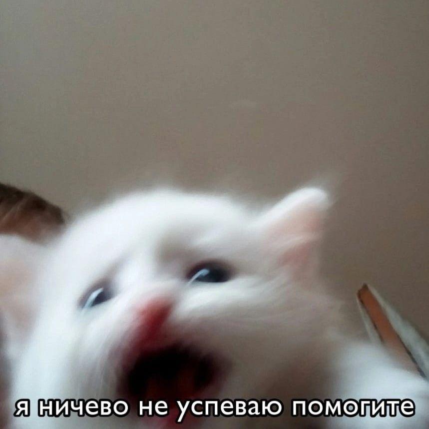 Как всё успевать: эффективные российские сервисы для планирования дел