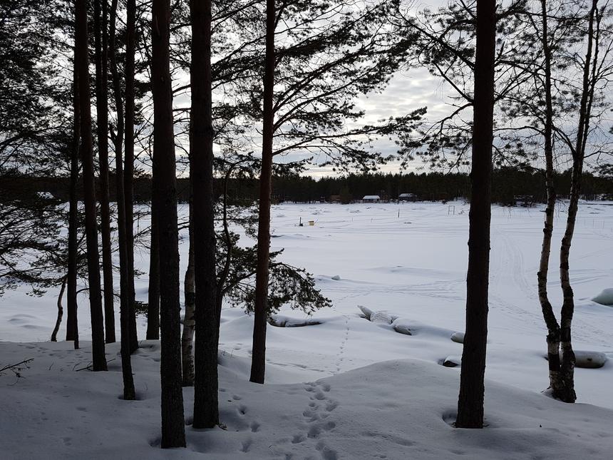 Еще один кадр против Солнца, Samsung Galaxy S7