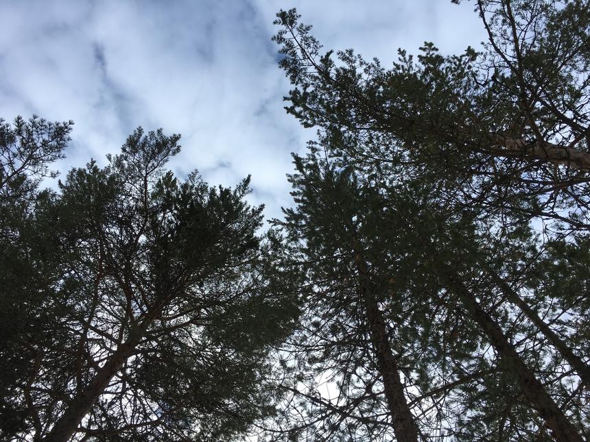 Съемка на фоне неба, iPhone 6S