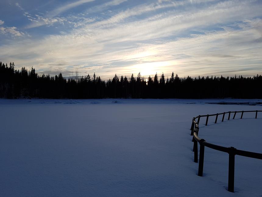 Съемка в сумерках, Samsung Galaxy S7