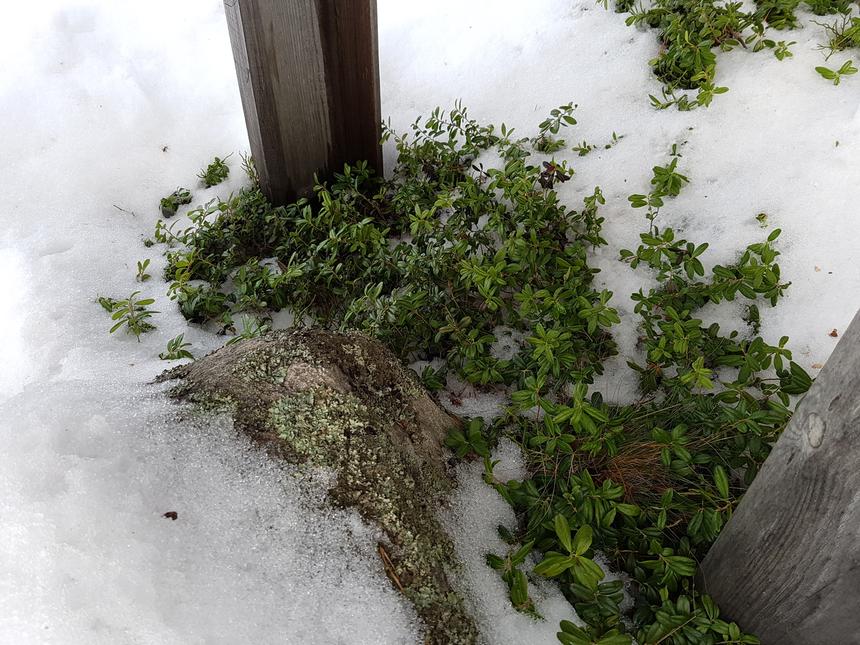 Кадр с Samsung Galaxy S7