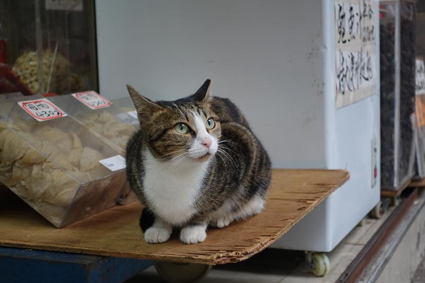 Sony Cyber-shot RX100 IV, ISO 200, 25,7 мм, F2.8, 1/80 c