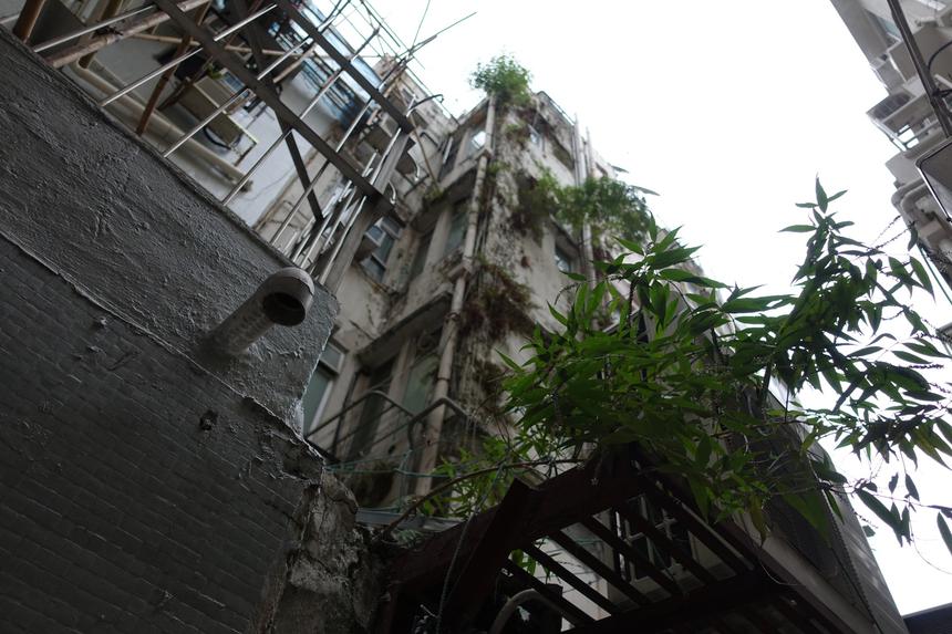 Sony Cyber-shot RX100 IV, ISO 125, 8,8 мм, F1.8, 1/320 c