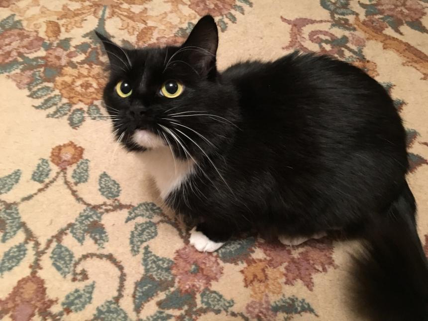 Пример съемки на iPhone 6S