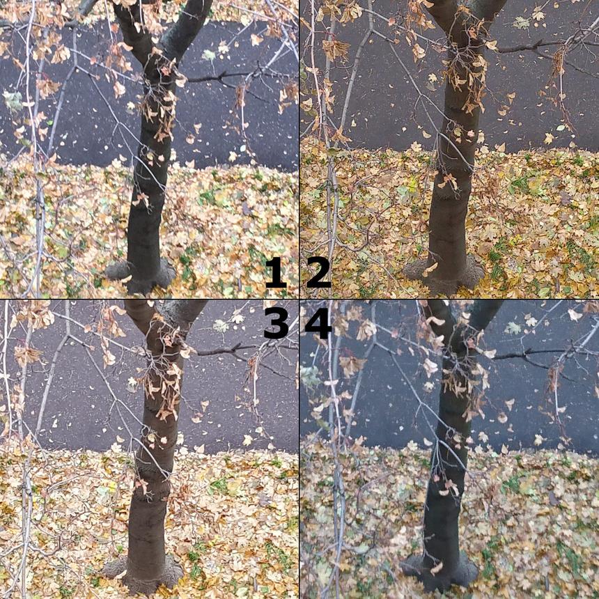 Слепое сравнение. Выбор лучшей камеры в смартфонах: Apple, Sony, Samsung и LG