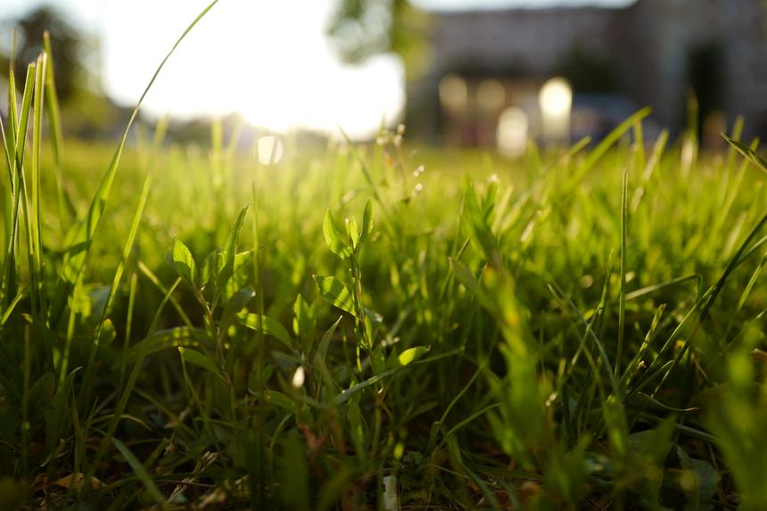 Leica Q, ISO 100, F2.0, 1/500 c