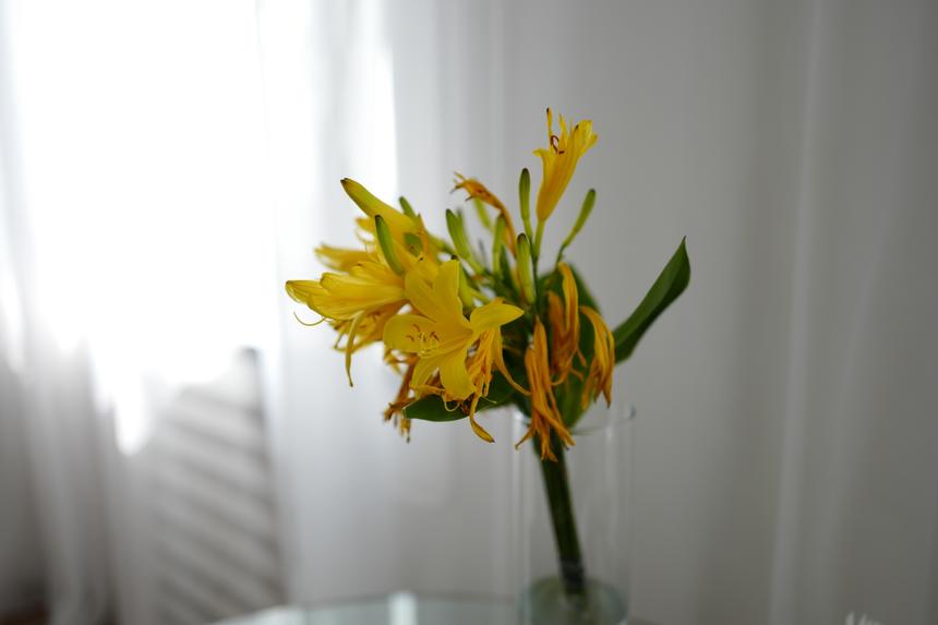 Leica Q, ISO 100, F1.7, 1/250 c