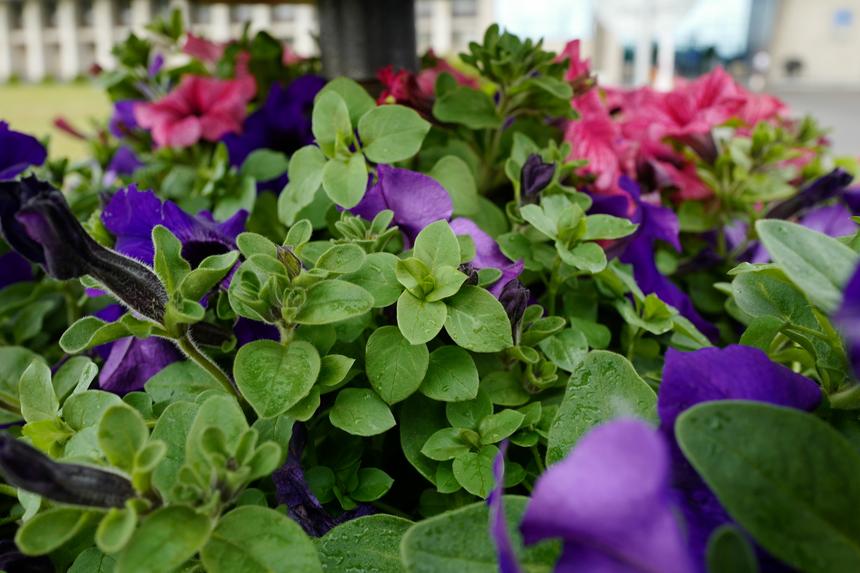 Leica Q, ISO 400, F8.0, 1/60 c