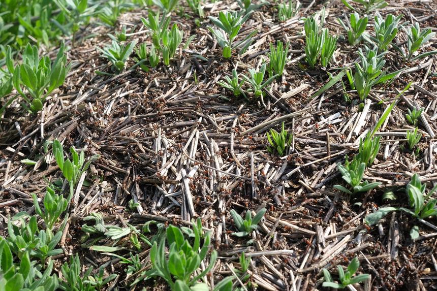 Fujifilm X-A2, 27 мм, ISO 200, f/8.0, 1/180 c