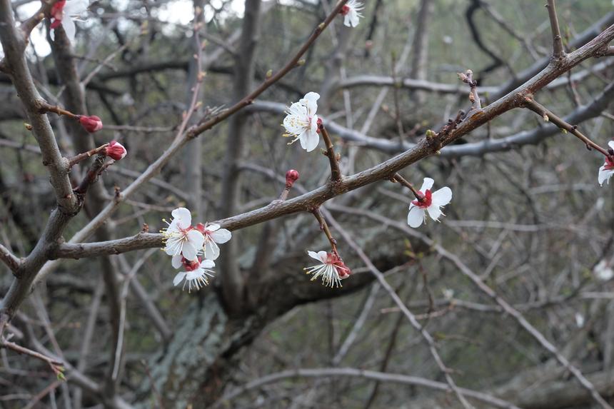 Fujifilm X-A2, 27 мм, ISO 200, f/8.0, 1/52 c