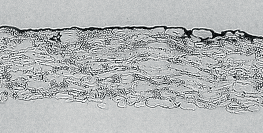 Пигменты на приповерхностном слое бумаги