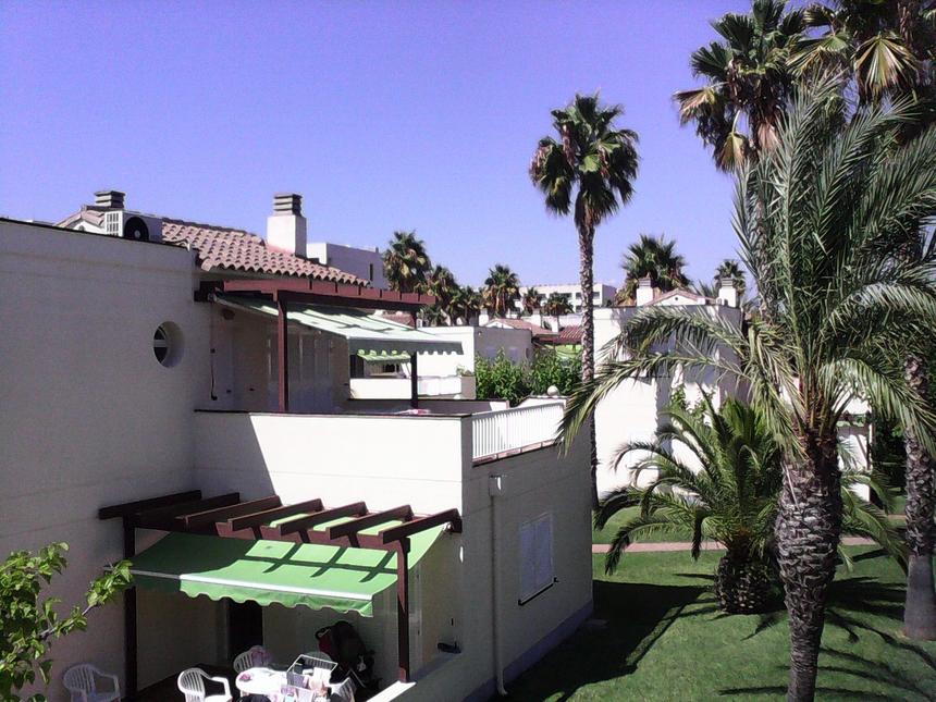 Фотографии, сделанные тыловой камерой MSI Primo 81