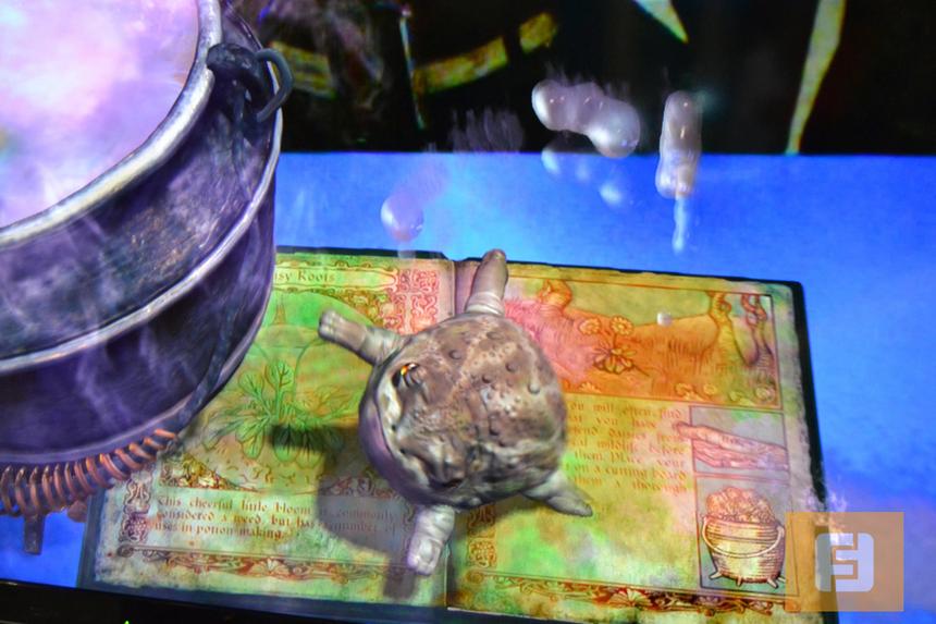 Вот что может сделать с лягушкой правильно приготовленное зелье