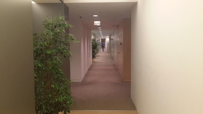 Снимок, сделанный основной камерой Samsung Galaxy S4