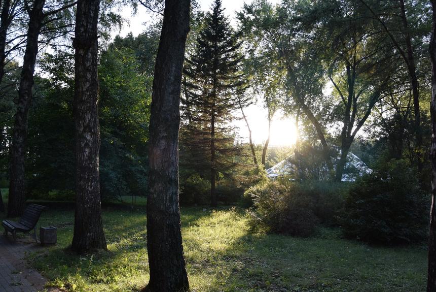 Nikon 1 S2, ISO 450, 29 мм, F3.5, 1/250 c