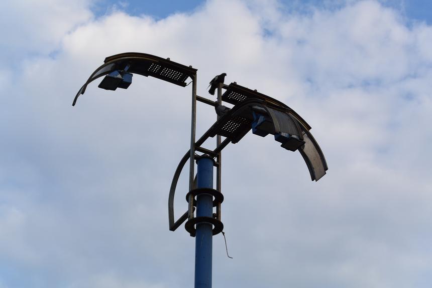 Nikon 1 S2, ISO 200, 74 мм, F5.6, 1/320 c