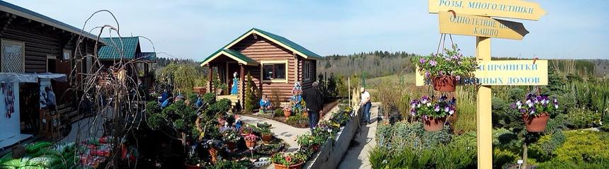 Фотографии, снятые основной камерой Alcatel OneTouch Scribe HD