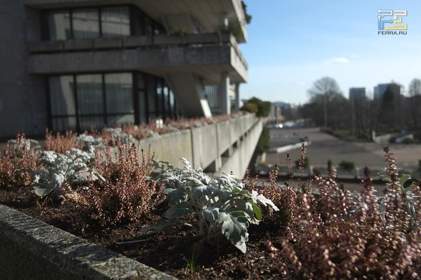 ISO 200, f/4.0, 18 мм, 1/1900 с