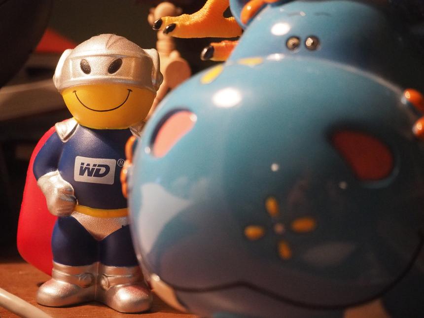 Olympus OM-D E-M10, 42 мм, ISO 5000, f/5.6, 1/80 c