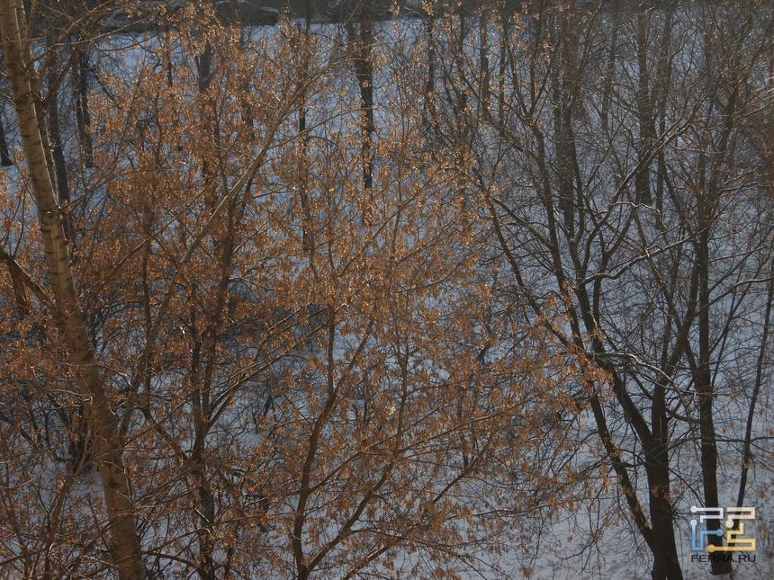 Fujifilm XF1, ISO 100, f/4.9, 1/350 c