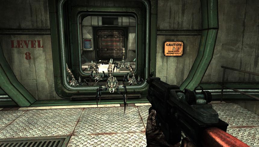 Ох, а тараканы-то нынче крупные…