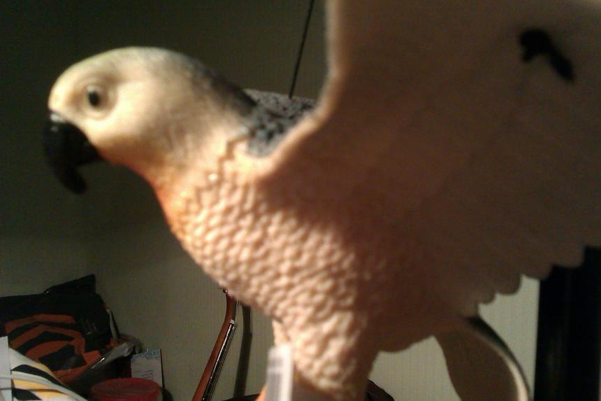 Снимок, сделанный камерой смартфона HTC Desire 200