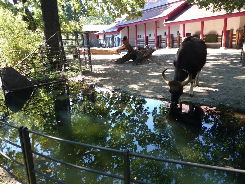 Тестовые снимки, снятые камерой смартфона Sony Xperia Z1