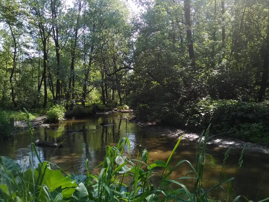 Снимок при естественном освещении