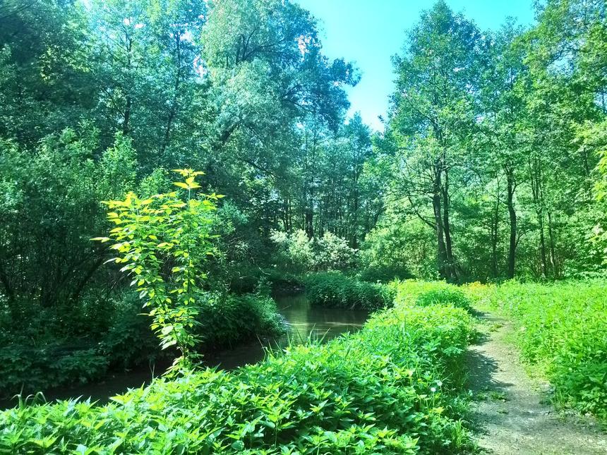 Андроидный HDR превращает хорошие снимки в брак