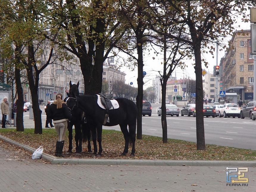 Olympus TG-810 iHS, ISO 400, ЭФР 140 mm, 1/125 c, f/5.9