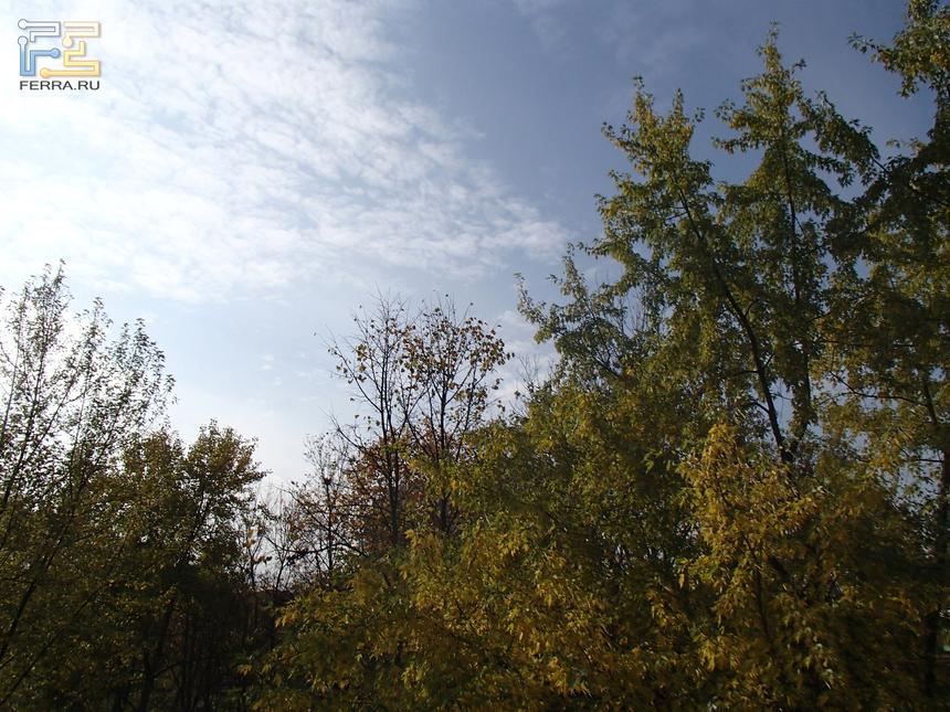 Olympus TG-810 iHS, ISO 100, ЭФР 28 mm, 1/250 c, f/11