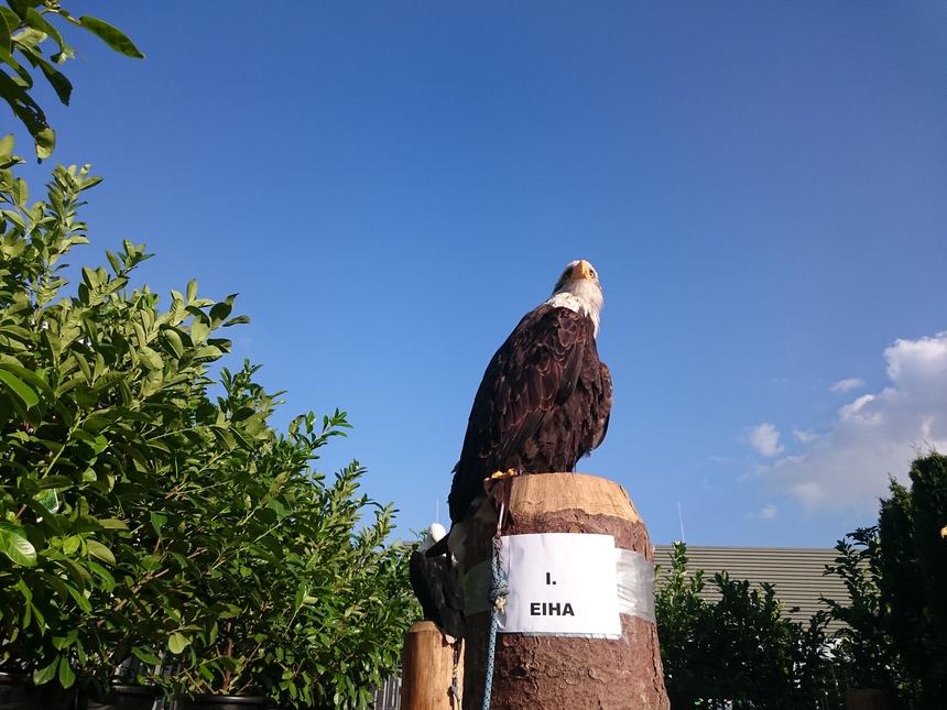 Тестовые снимки Sony Xperia Z3 Compact