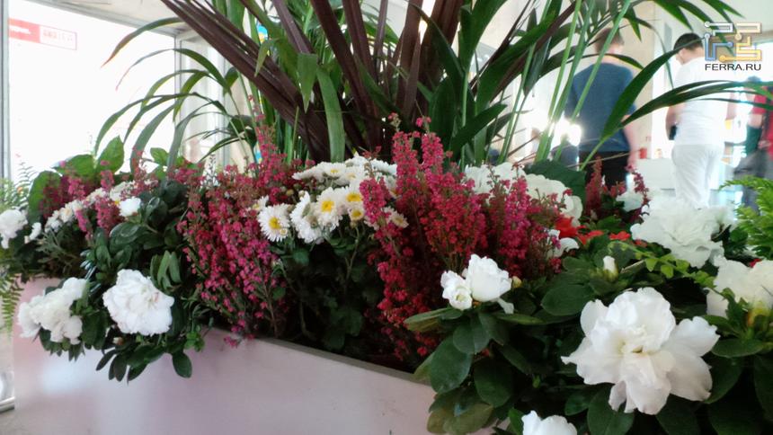 Samsung Galaxy Camera @ ISO 800