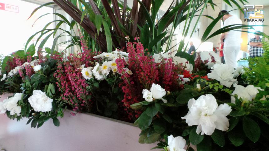 Samsung Galaxy Camera @ ISO 1600