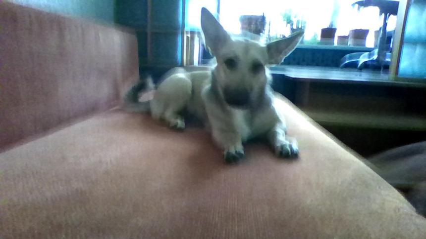 Снимок, сделанный фронтальной камерой планшета ASUS Transformer Book Trio TX201LA