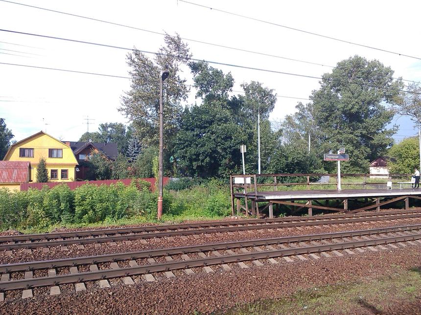 Примеры фотографий, сделанных встроенной камерой Highscreen Omega Prime XL