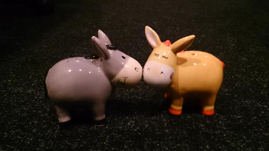 Пример съемки камерой планшета Sony Xperia Tablet Z