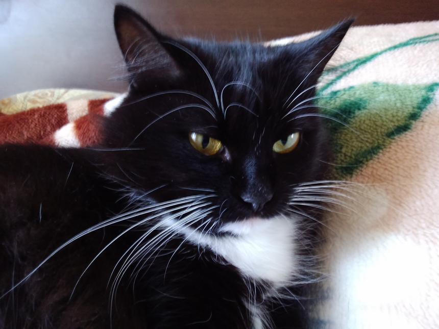 Тестовые снимки Sony Xperia T3